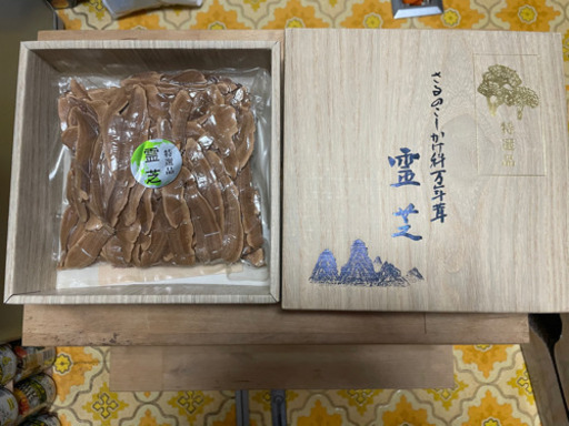 霊芝 さるのこしかけ 高級品 箱入り値下げ↓