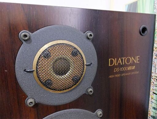 DIATONE DS-1000HR ペア本体（スタンドなし）
