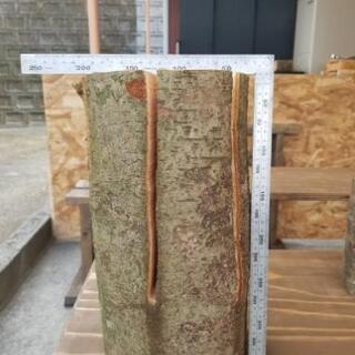 【広葉樹】スウェーデントーチ【700円～】