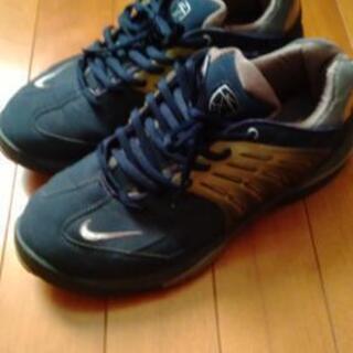 Nikeゴルフスパイク24.5