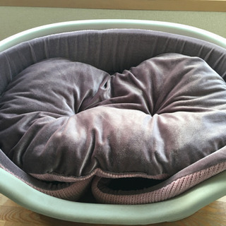 無料で差し上げます！わんちゃん猫ちゃんベッドの画像