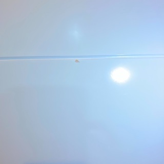 猫脚こたつの画像