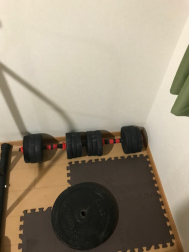 ベンチプレス、ダンベル、懸垂器