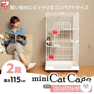 キャットケージ、猫ケージください！