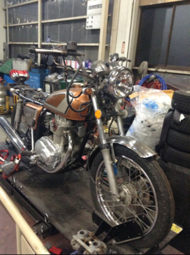 すいませんしらべたらセニアでした