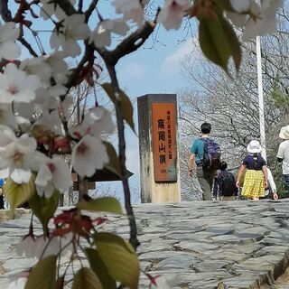 ★ハイキング高尾山など、都内散歩　余暇　40、50歳