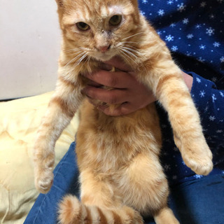 素敵な里親様決定いたしました！