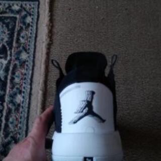 ナイキエアージョーダン　28.5cm 　AIR JORDAN XXXIV PFの画像