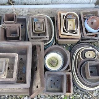 お買得です?盆栽鉢