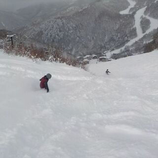 スノボ　2/27-28　志賀高原全山　千葉から都内 - スポーツ