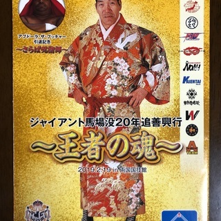 パンフレット ジャイアント馬場没後20年追善興行～王者の魂～ 2...