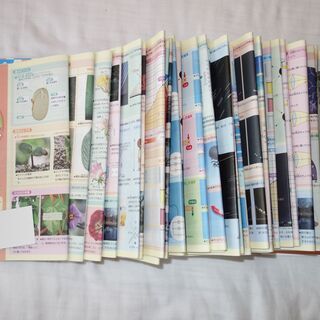 サピックス　2018年度　6年　国算社理基本パック　都内の方対象　地方の方要相談の画像