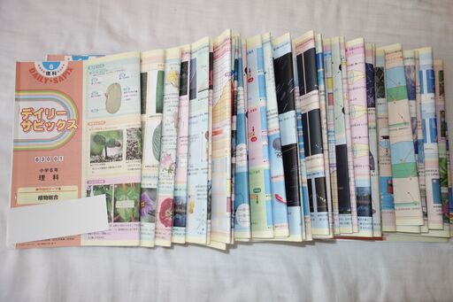 サピックス　2018年度　6年　理科　デイリーサピックス　春期講習　夏期講習