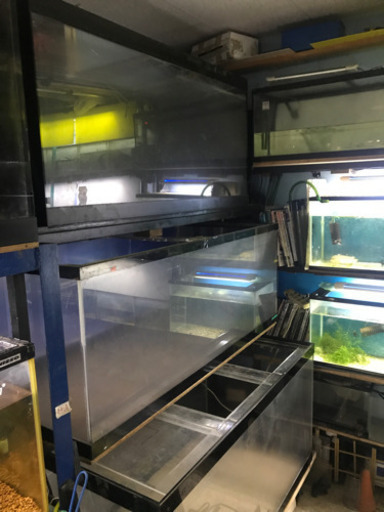水槽、アクリル水槽、アロワナ水槽、大型水槽