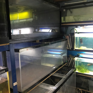 水槽、アクリル水槽、アロワナ水槽、大型水槽