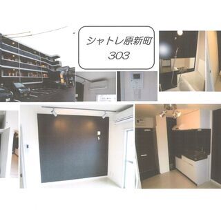 🆕🏢フリーレント、サービス１ヶ月👍綺麗なリフォーム済の賃貸マンシ...