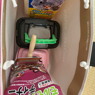 モルモットの食べ物など