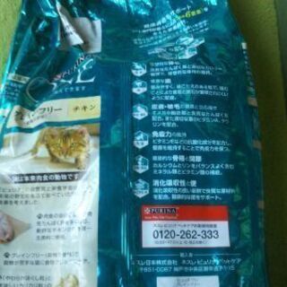 値下げしました！PURINA  ONEプュリナワングレインフリーチキン1.6k分包4袋の画像