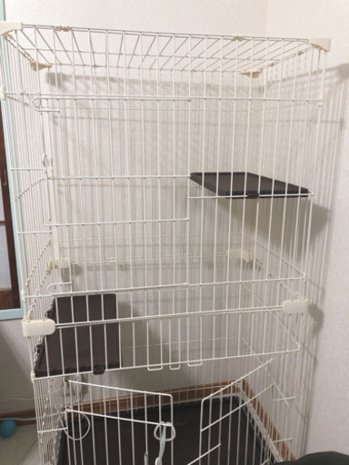 猫 ゲージ