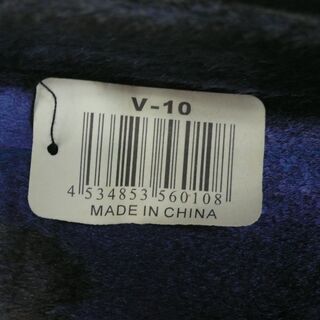 【店頭取引のみ】Hallstatt V-10 バイオリンの画像