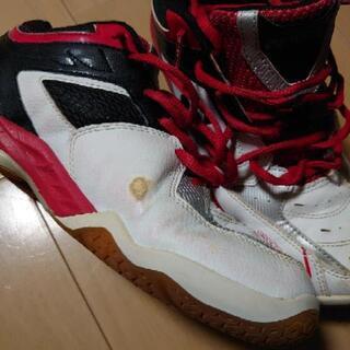 バドミントンシューズの画像