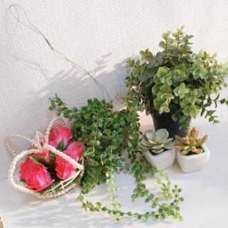 決まりました！！インテリア 緑 フェイクグリーン サボテン プリザーブドフラワー 造花の画像