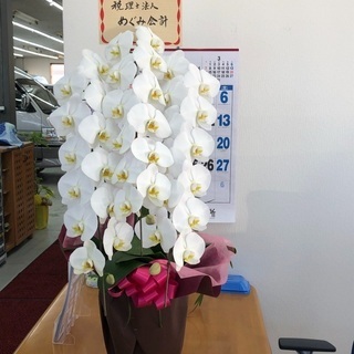 ‼️レンタカーの営業スタッフ募集‼️高収入です。の画像