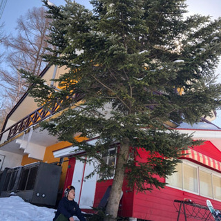 スノボースノボー