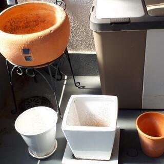 植木バチ各種、無料でお譲りします。
