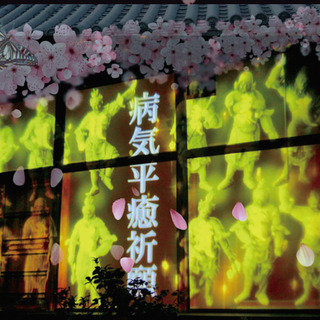 川原寺　幻桜の夜