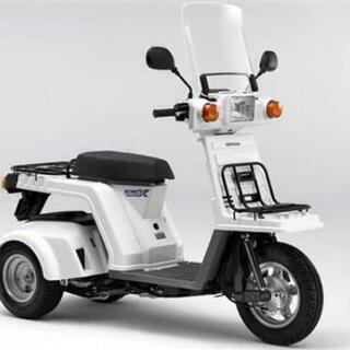 HONDAジャイロ買います！