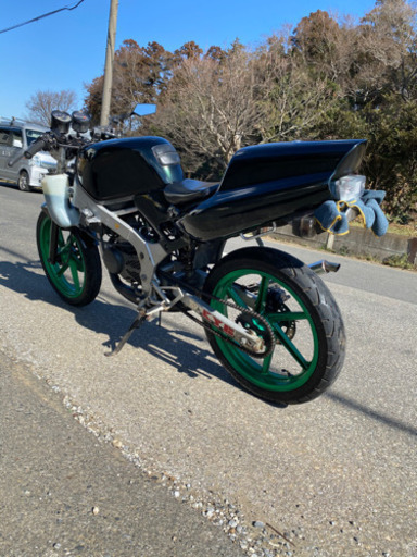 NS-1。