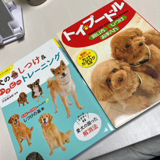 本　トイプードル　無料