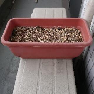 植木鉢+土の画像