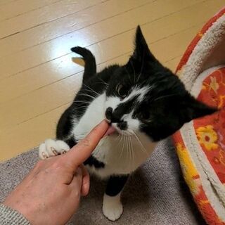 穏やかで優しい男の子、睦ちゃん