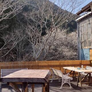 駿府城内堀、ジョギング夜遅めの体重落とし − 静岡県