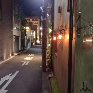 駿府城内堀、ジョギング夜遅めの体重落とし - その他