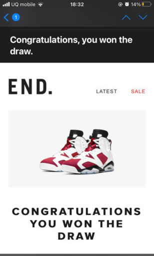 Nike airjordan6 カーマイン