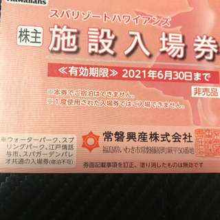 スパリゾートハワイアンズ  施設入場券