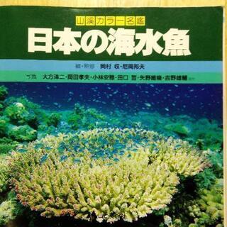 海水魚図鑑セットの画像