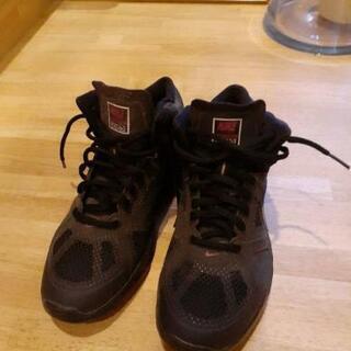 BEAMS銀座店購入【NIKE TRAINING】ナイキトレーニング スニーカー 23.5の画像