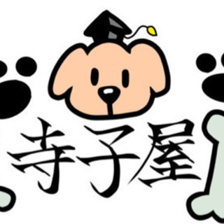 小学校で行う英語教室の先生募集✨　