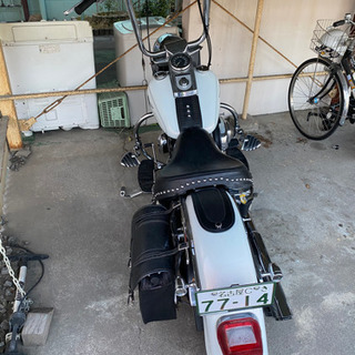 【成約済み】ファットボーイ　お金かけて整備してますの画像