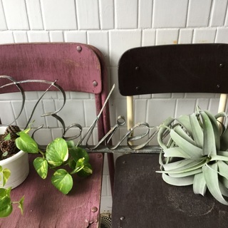 人気のインテリア●フェイクグリーンの画像