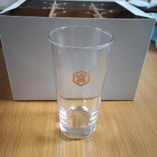 【レア】キンミヤグラス　12個セット