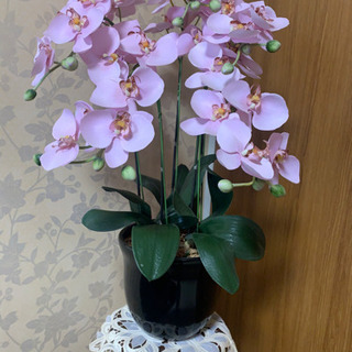 胡蝶蘭の造花です，