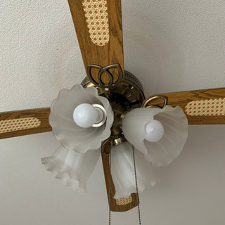 シーリングファンの画像