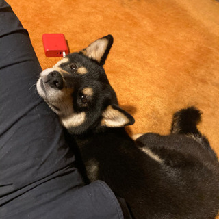 誰か一緒に運動してくれる方♪