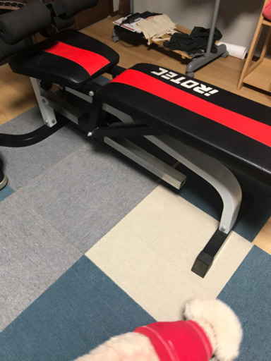 アイロテック　　ベンチ