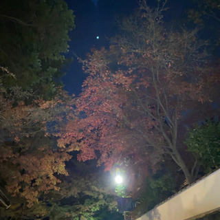 友だちと言うと嘘っぽい